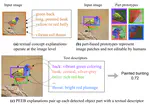 PEEB, Part-based Bird Classifier with an Explainable and Editable Language Bottleneck